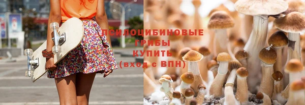 mix Алексин