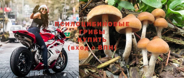 скорость Алексеевка