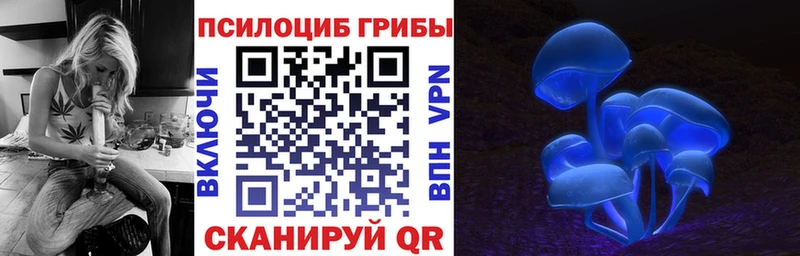 Галлюциногенные грибы Psilocybine cubensis  Талица 