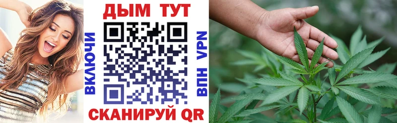 Бошки марихуана SATIVA & INDICA  KRAKEN ONION  Талица  как найти наркотики 